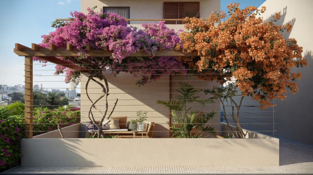 Brasileiros estão aderindo à buganvília: será que sua casa também pode florir 10 meses por ano?