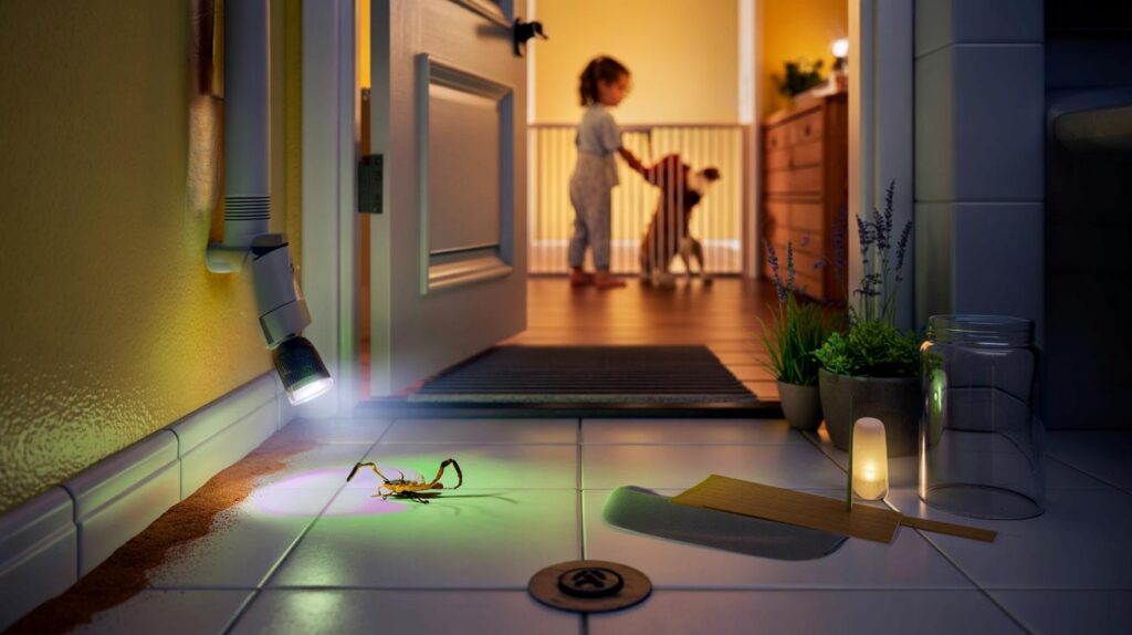 Você tem filhos ou pets? 6 táticas para afastar escorpiões sem veneno dentro de casa, sem gastar